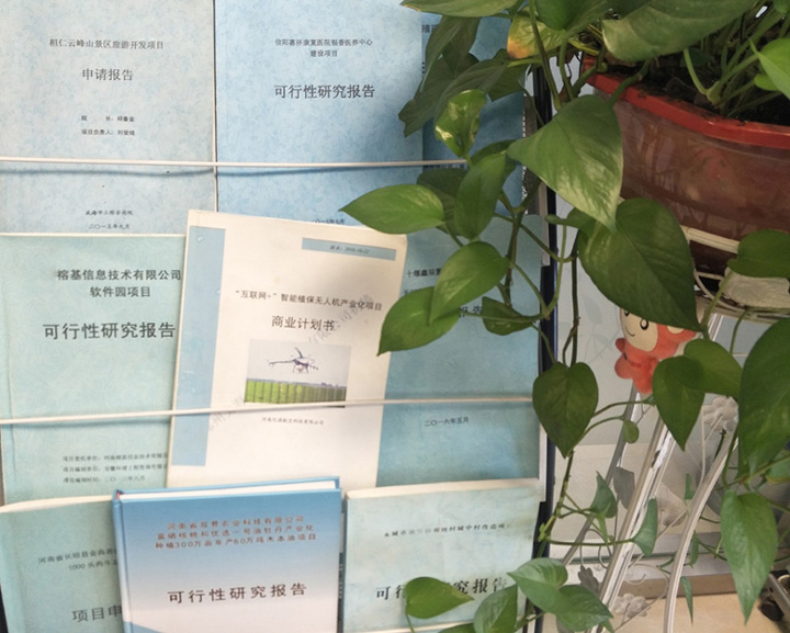 桃园市全链条建材可行性研究(全链条建材可行性研究方案)