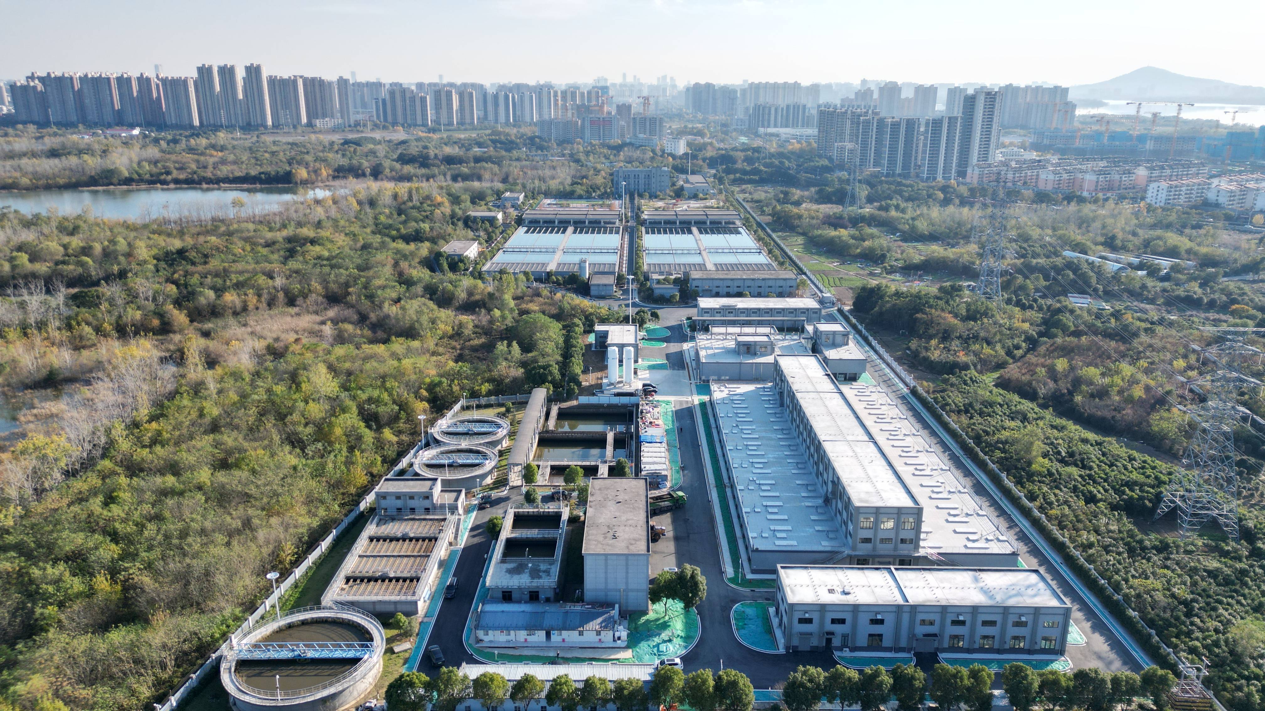 桃园市合肥专业企业价值增长(合肥市重点企业产业目录)