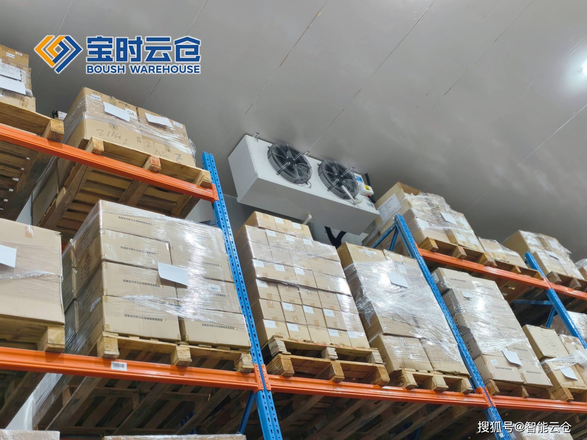 桃园市领先物流品牌升级(领先物流服务商是自营物流)