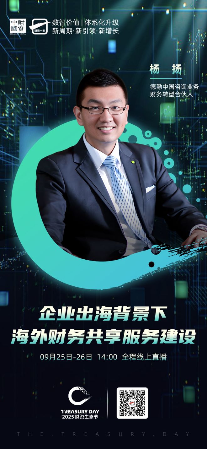 桃园市上市公司企业战略资本咨询(上市公司企业战略资本咨询报告)