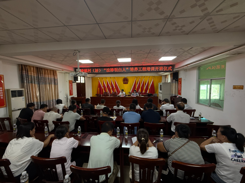 桃园市海口专业法务咨询(海南法之道法务咨询有限公司)