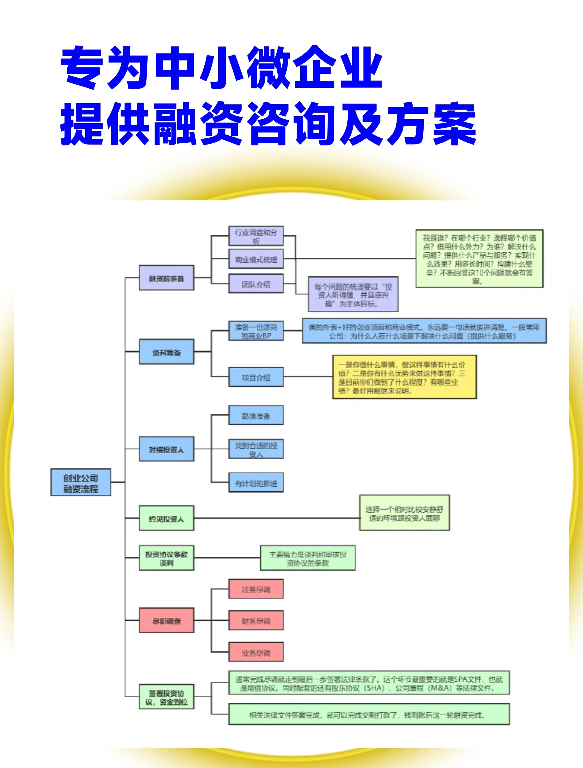 桃园市宠物企业资金管理(宠物管理机构叫什么)