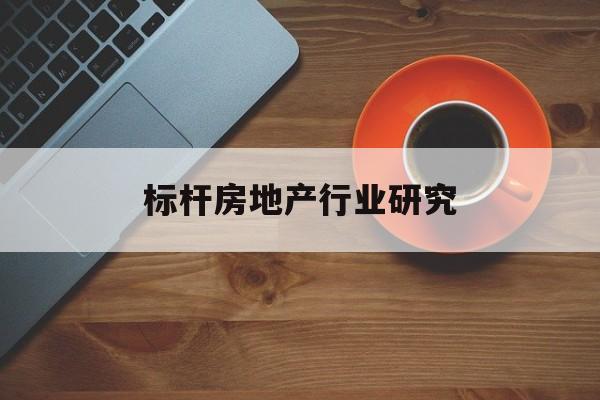 桃园市标杆房地产行业研究(房地产领域的标杆人物)