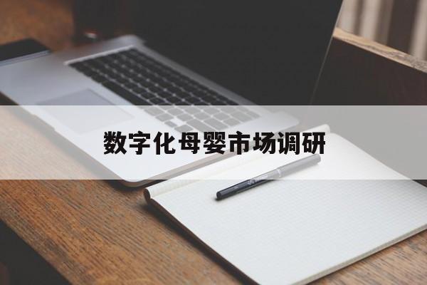桃园市数字化母婴市场调研(数字化母婴市场调研报告)