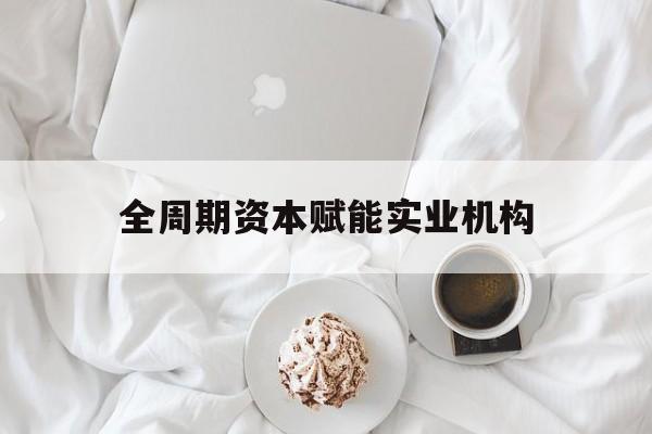 桃园市全周期资本赋能实业机构(全周期管理)