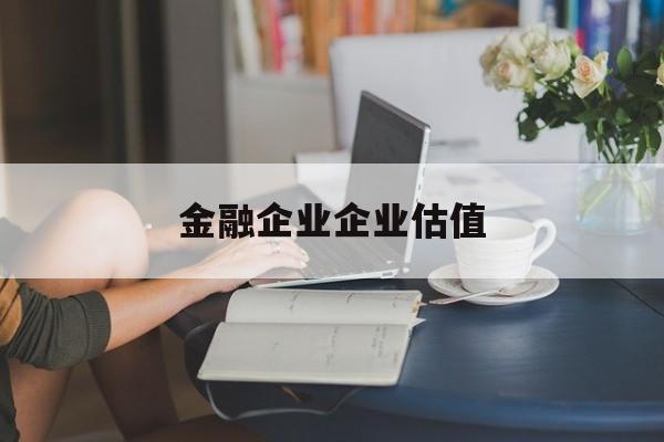 桃园市金融企业企业估值(最新企业估值怎么填)